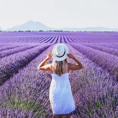Le Calme Entre Gorges Du Verdon Et Luberon